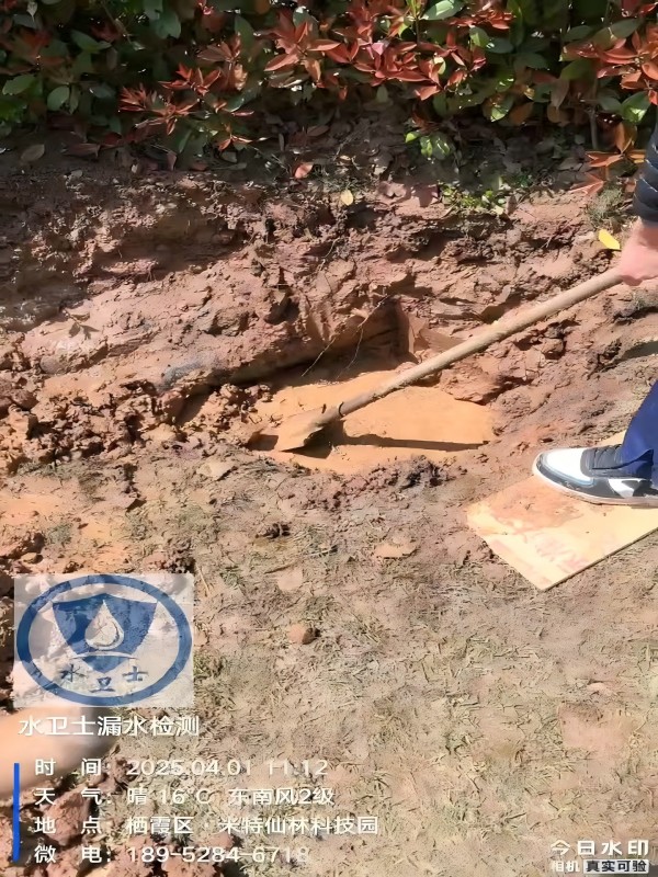 南京漏水檢測(cè)案例